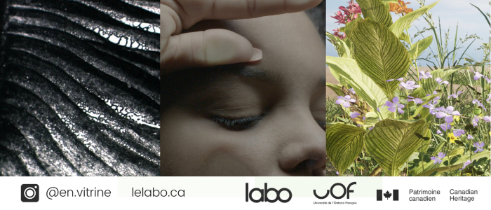 Exposition «En Vitrine» avec le Labo (Centre d’arts médiatiques francophone de Toronto) – Artiste: Nicole Croiset